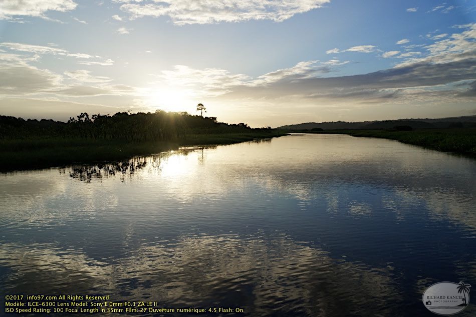 guyane073-marais-kaw.jpg