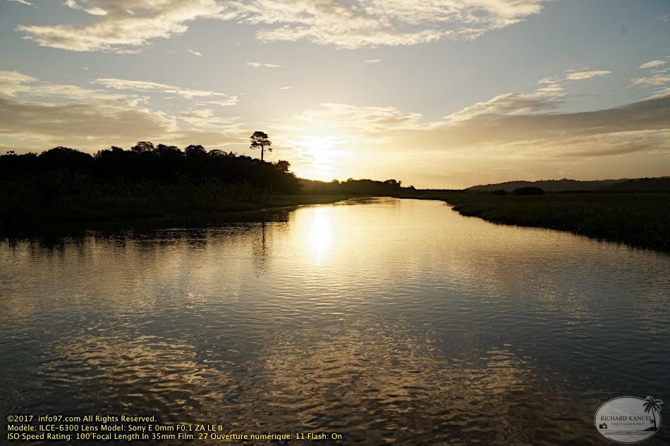 guyane075-marais-kaw.jpg