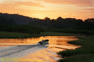 guyane084-marais-kaw