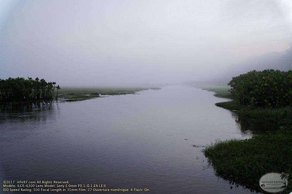 guyane086-marais-kaw.jpg