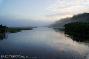 guyane091-marais-kaw