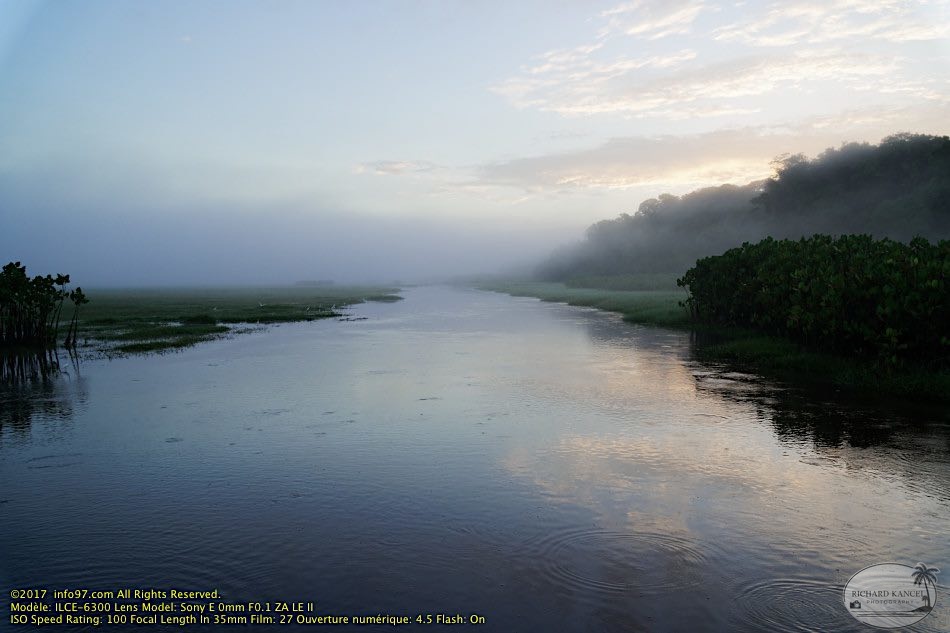guyane091-marais-kaw.jpg