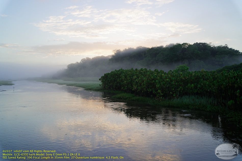 guyane092-marais-kaw.jpg