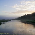 guyane094-marais-kaw.jpg