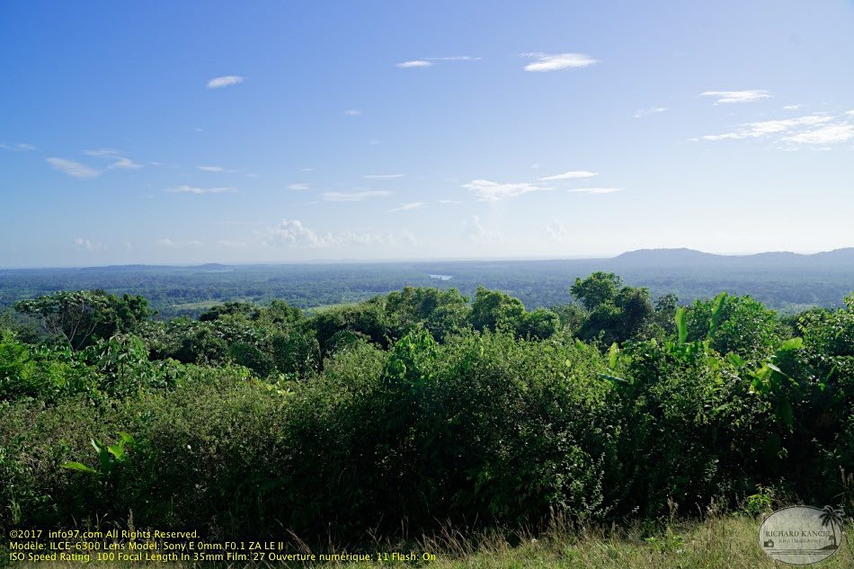 guyane05-montagne-des-singes.jpg