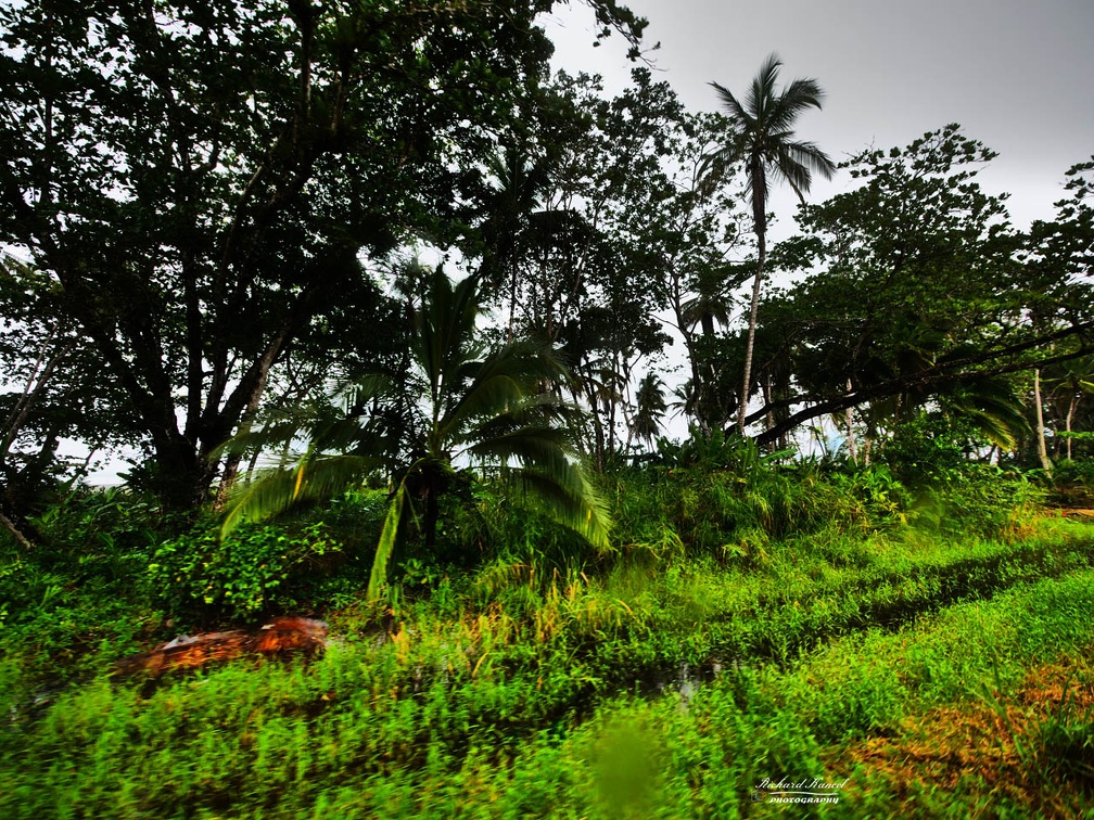 costa-rica-a200.jpg