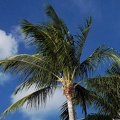 key-west-f529.jpg