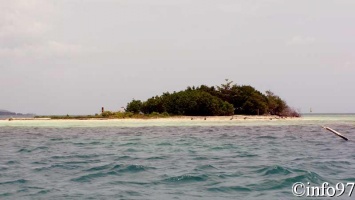 la-mangrove1