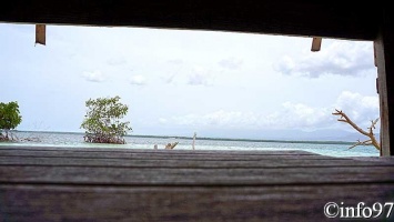 la-mangrove15