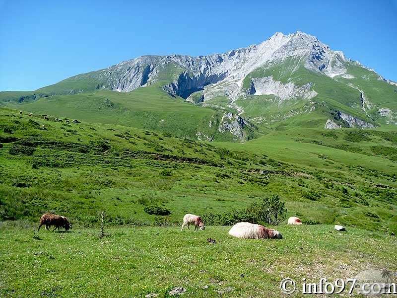 pyrennees-36.jpg