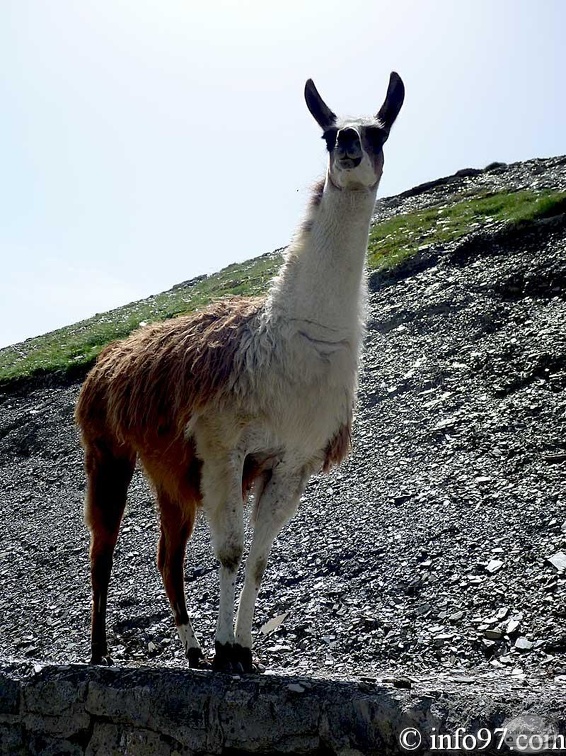 tourmalet16.jpg
