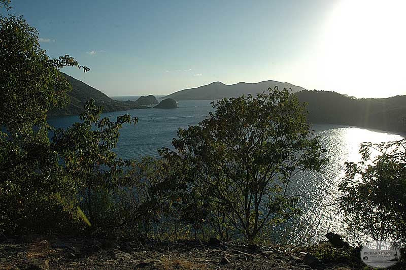 paysage20.jpg