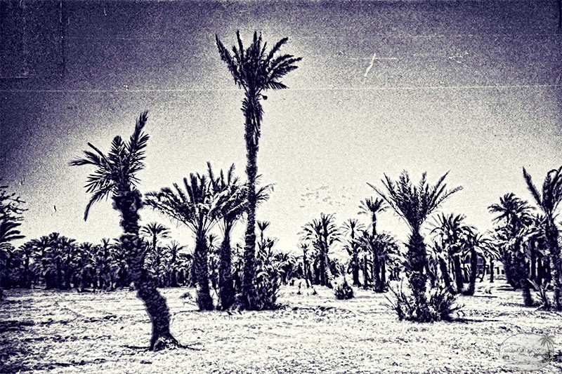maroc-8.jpg
