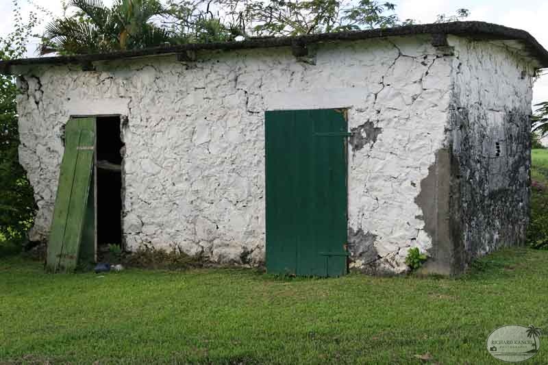 martinique5.jpg