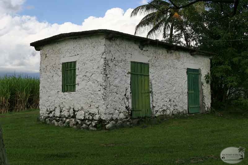 martinique6.jpg