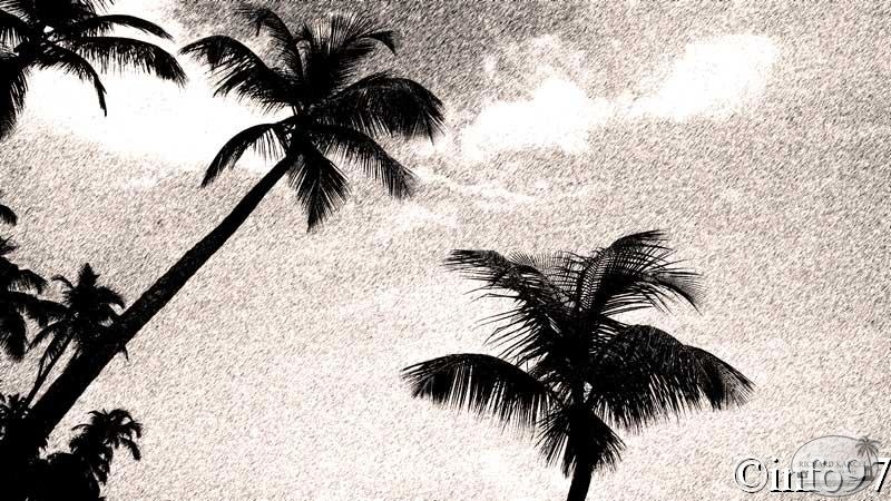plage-saint-domingue11.jpg