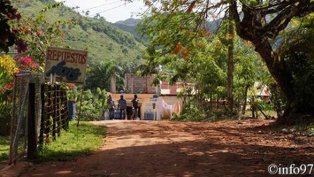 portrait-st-domingue15