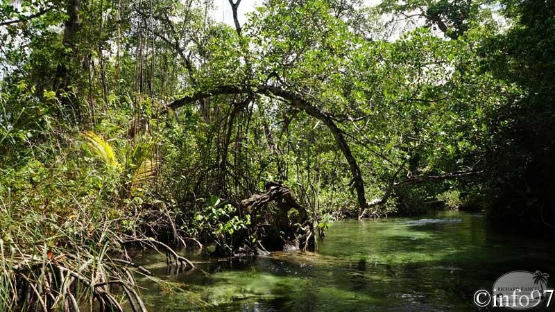 riviere-st22.jpg