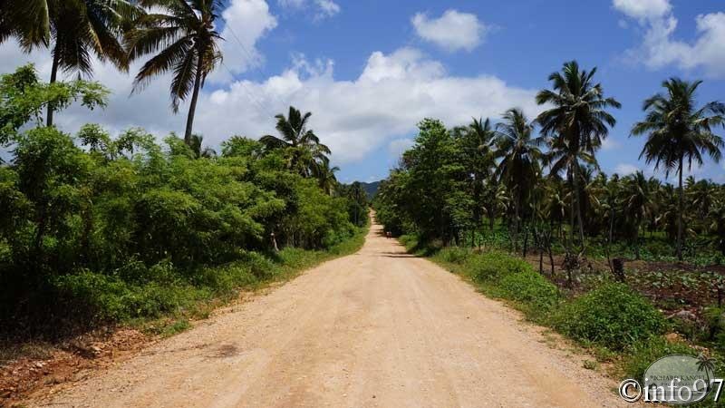 route-st-domingue45.jpg