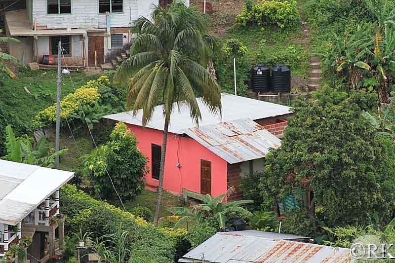 trinidad20.jpg