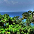 P1070129-chabaud.jpg