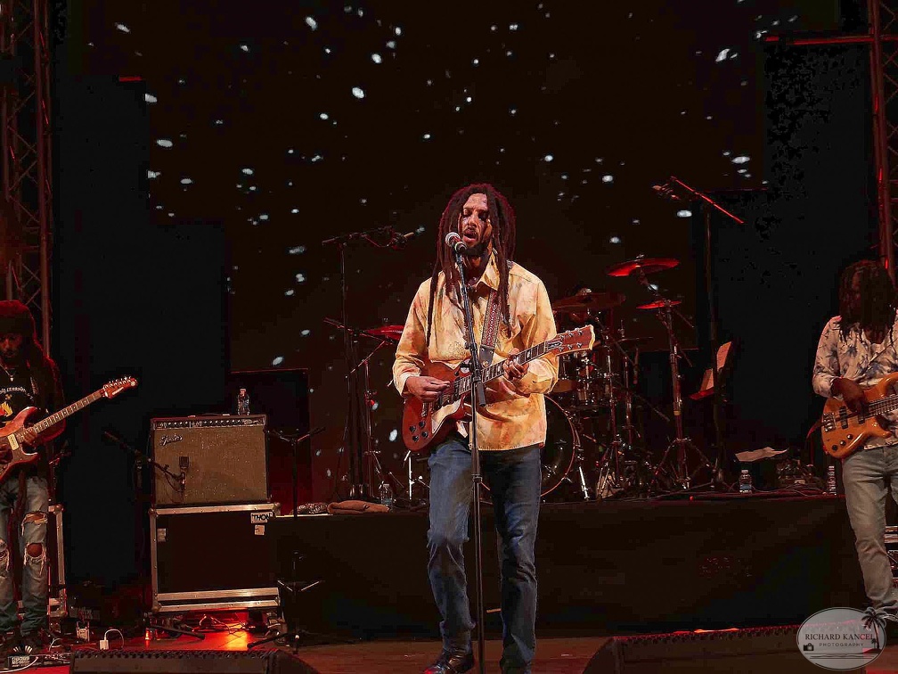 _1071259-julian-marley-terre-de-blues.jpg