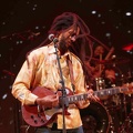 _1071272-julian-marley-terre-de-blues.jpg