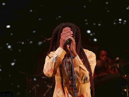  1071304-julian-marley-terre-de-blues