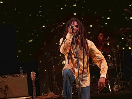  1071317-julian-marley-terre-de-blues