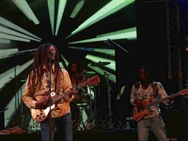  1071326-julian-marley-terre-de-blues