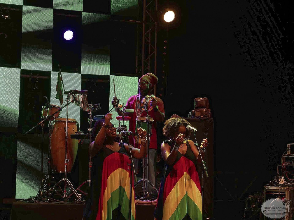 _1071330-julian-marley-terre-de-blues.jpg