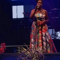 _1071360-florence-naprix-terre-de-blues.jpg