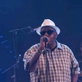 _1071100-donald-ray-johnson-terre-de-blues.jpg