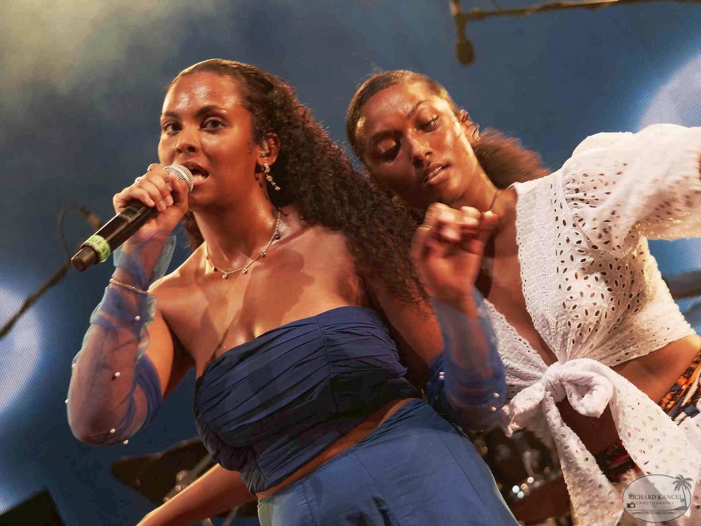 _1083811terre-de-blues1.jpg