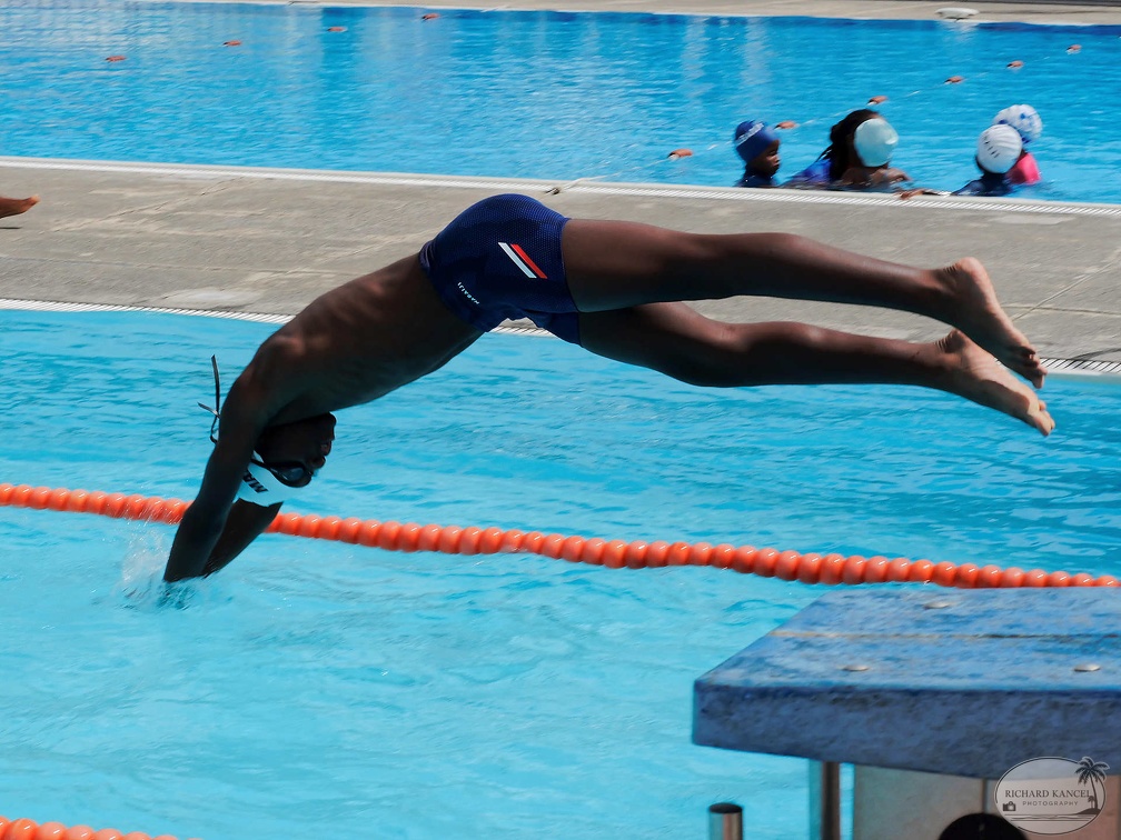 P1008703-shark.jpg