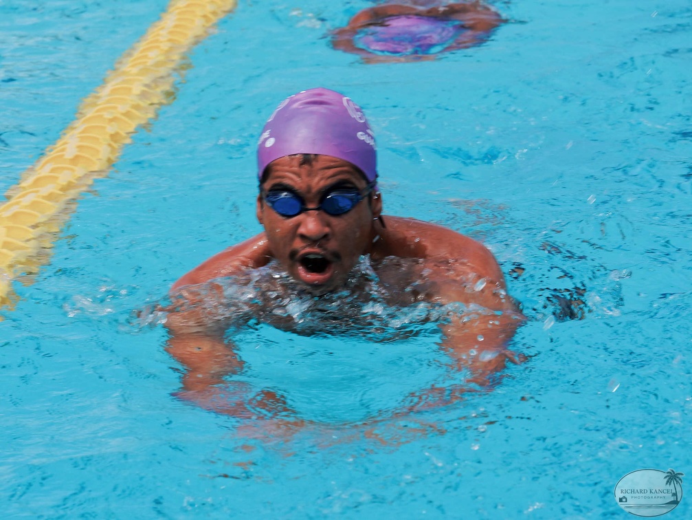 P1008712-shark.jpg