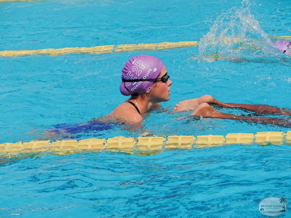 P1008764-shark.jpg