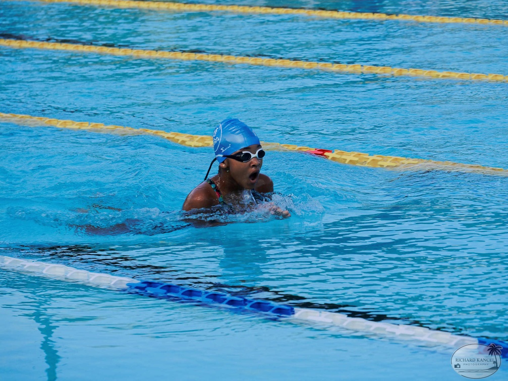 P1008966-shark.jpg