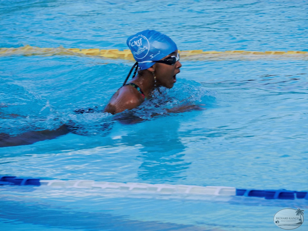 P1008971-shark.jpg