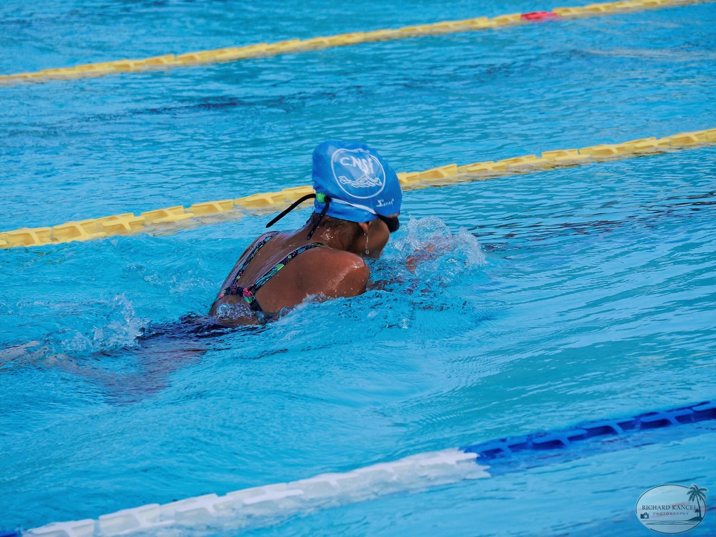 P1008977-shark.jpg