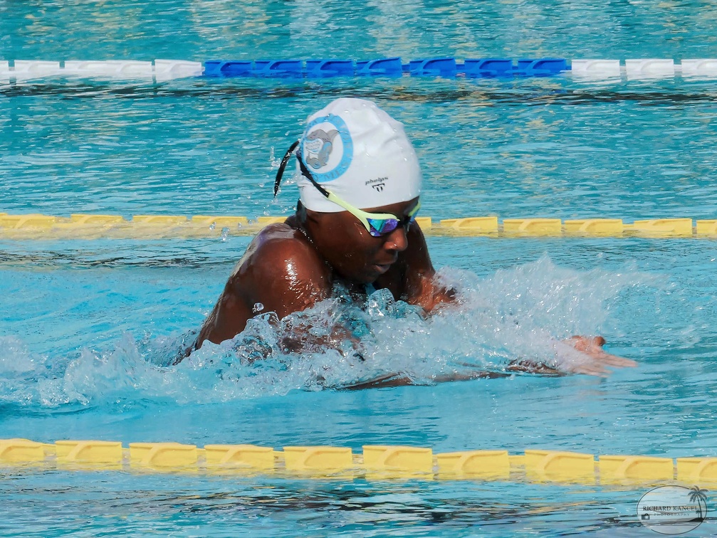 P1009030-shark.jpg