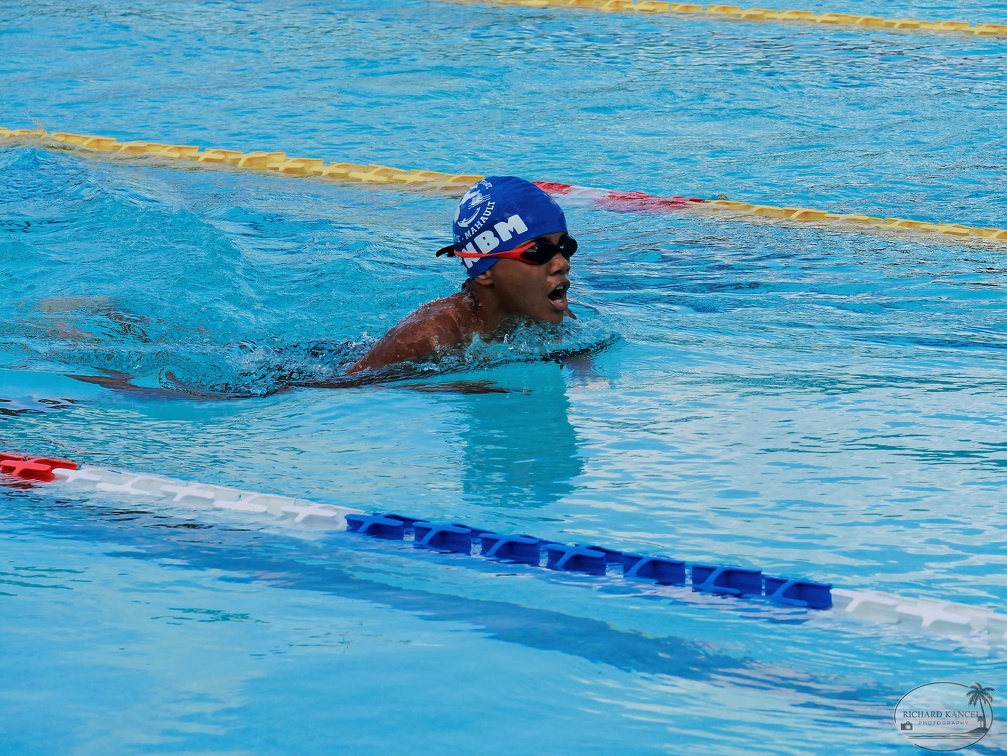 P1009060-shark.jpg