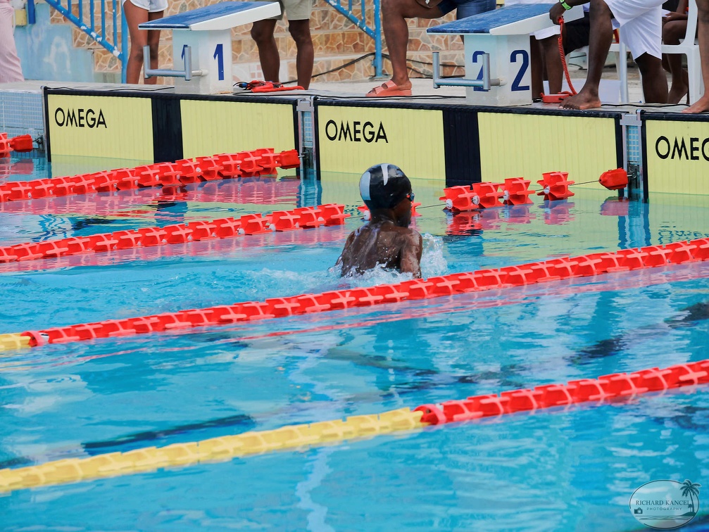 P1009062-shark.jpg