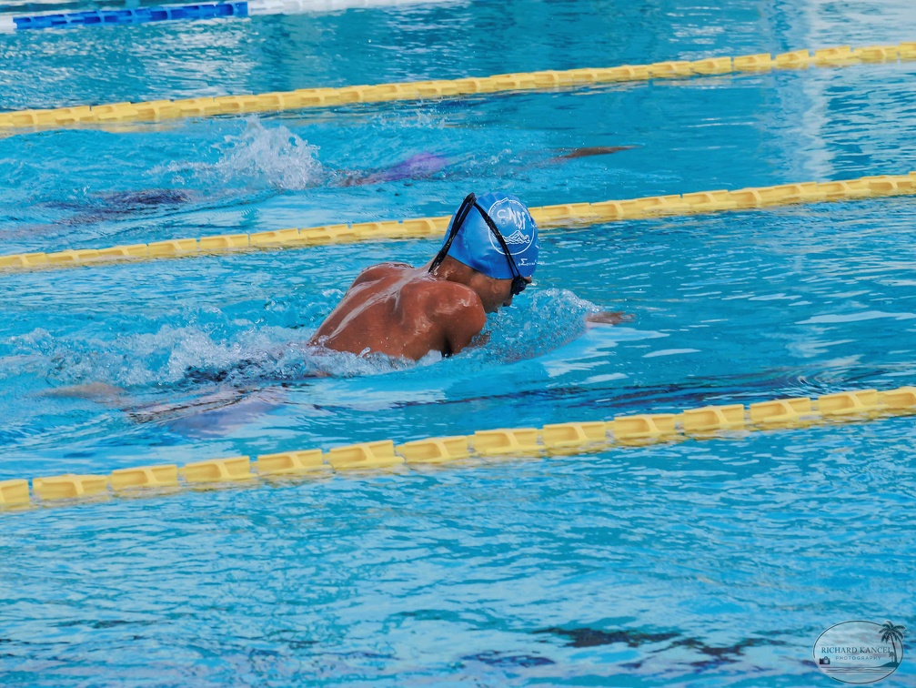 P1009090-shark.jpg