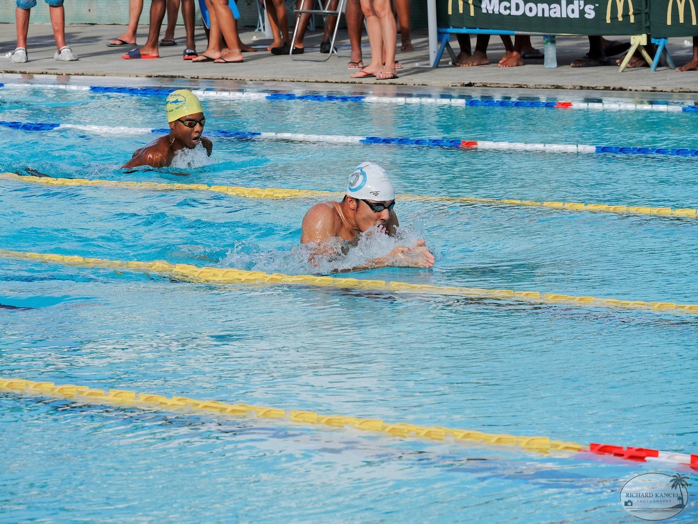P1009104-shark.jpg