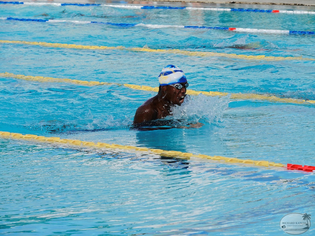 P1009105-shark.jpg