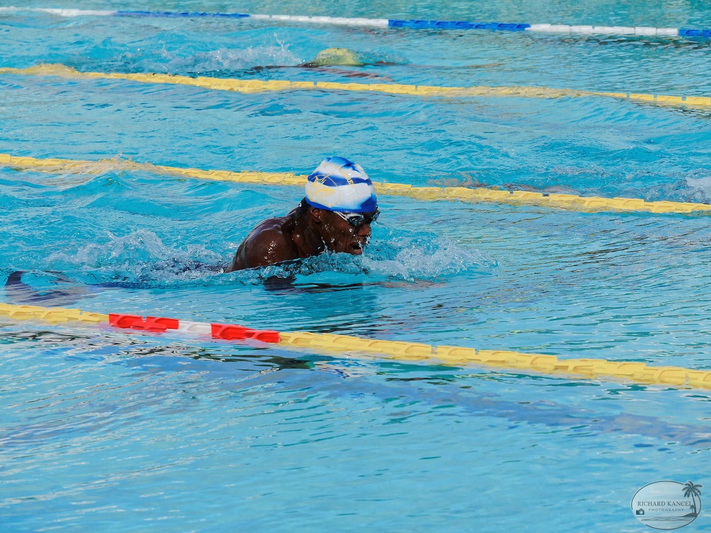 P1009106-shark.jpg