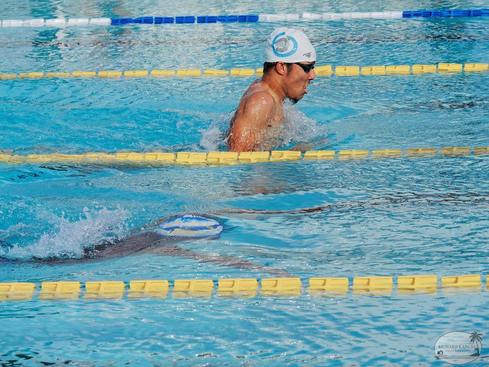 P1009109-shark.jpg