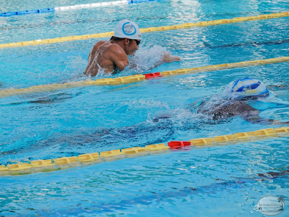 P1009112-shark.jpg