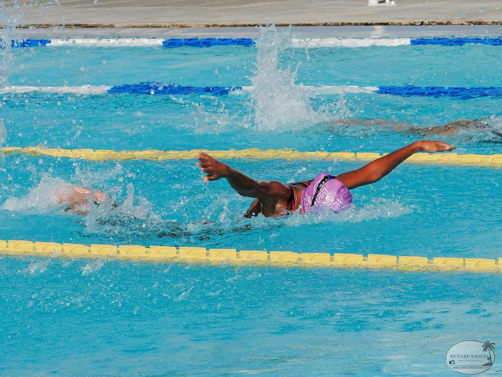 P1009130-shark.jpg